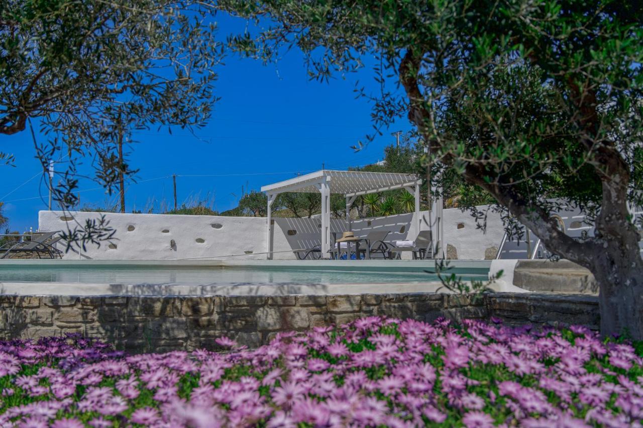 Anthemion Paros - Villas & Suites Agia Irini  Zewnętrze zdjęcie