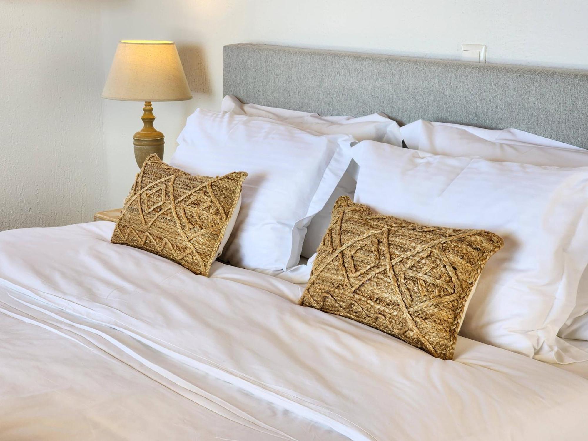 Anthemion Paros - Villas & Suites Agia Irini  Zewnętrze zdjęcie